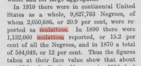 "Mulatto" in Newspaper