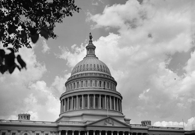 U.S. Capitol dome